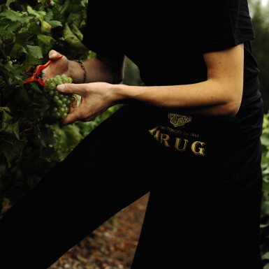 View full screen - View 1 of Lot 6642. Krug, Clos du Mesnil 1982 (2 BT).