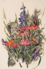 Zinnias, Larkspur and Daisies