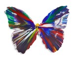 Untitled (Butterfly Spin Painting), 2009