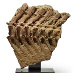 Brachylophosaurus Tail Vertebrae With Skin Impressions and Preserved Tendons