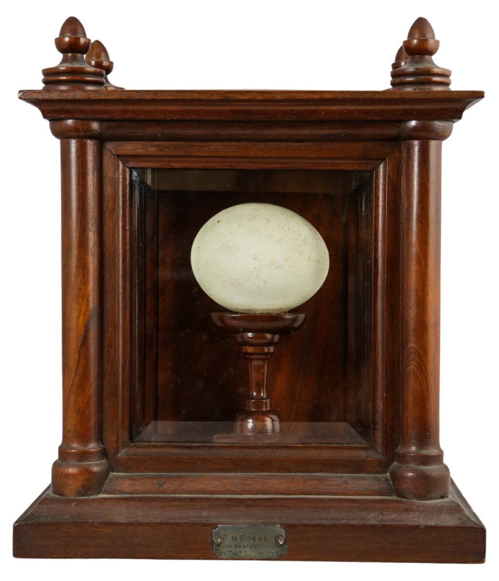 View full screen - View 1 of Lot 191. British Antarctic "Terra Nova" Expedition, 1910-1913 | Adelie penguin egg, signed by expedition members.
