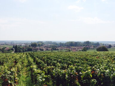 View full screen - View 1 of Lot 535. Meursault Premier Cru Les Charmes, Cuvée de Bahèzre de Lanlay 2014 Etienne de Montille (3 MAG).