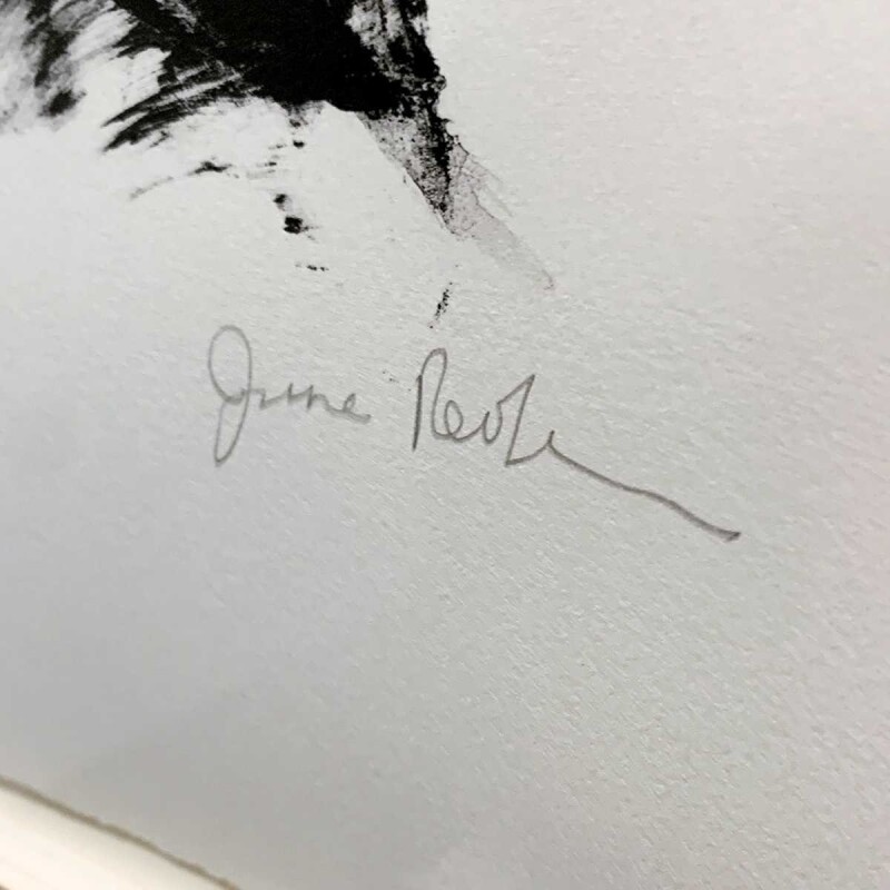 Cover image 0