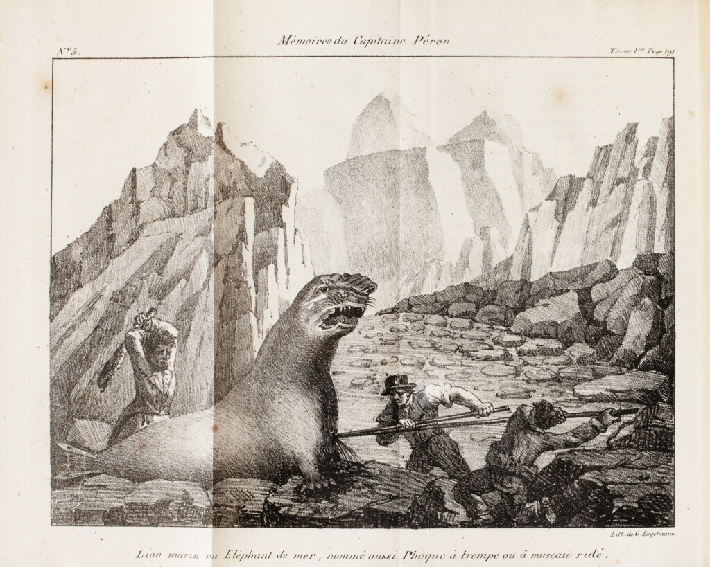 View full screen - View 1 of Lot 31. PERON. Mémoires du capitaine Péron, sur ses voyages... 1824. 2 vol. 1/2 chagrin brun .