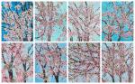 Damien Hirst 達米恩・赫斯特 | The Virtues (Justice, Courage, Mercy, Politeness, Honesty, Honour, Loyalty, Control) 美德(正義,勇氣,仁慈,禮貌,誠實,榮譽,忠誠,自制)