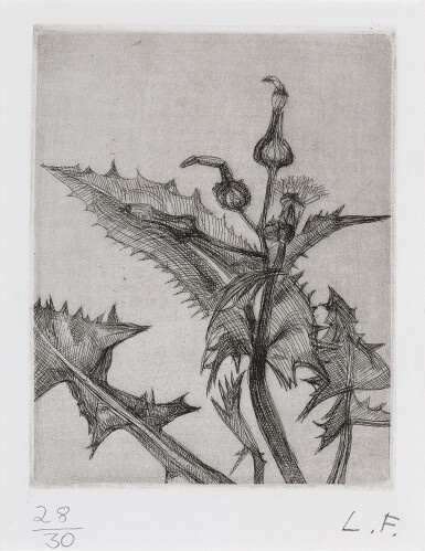 View full screen - View 1 of Lot 319. Thistle.