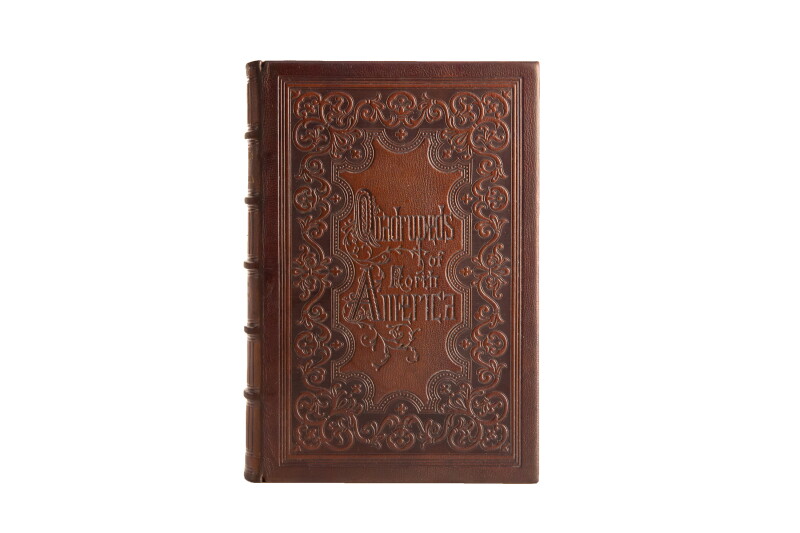 Cover image 0