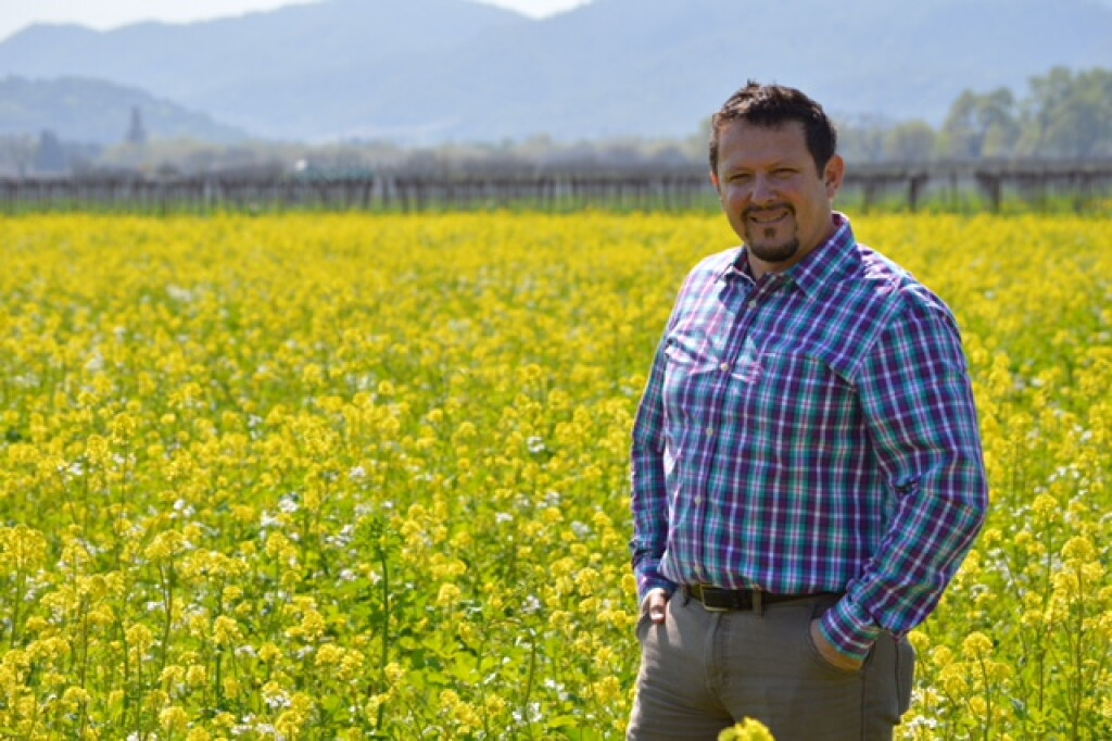 View full screen - View 1 of Lot 128. Faustini Wines, AVA VI, Red Table Wine, Napa Valley 2024 (60 BT) .