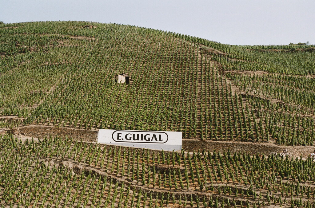 View full screen - View 1 of Lot 1549. Côte Rôtie, La Mouline 1978 Guigal (1 BT).