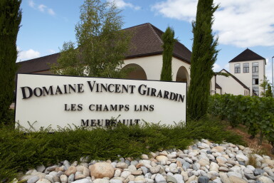 View full screen - View 1 of Lot 180. Pommard, Les Grands Epenots 2019 Domaine Pierre Vincent Girardin (12 BT).
