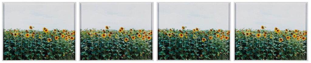 View full screen - View 1 of Lot 51. ANNETTE KELM | UNTITLED.