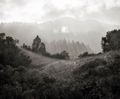 View full screen - View 1 of Lot 37. PROMONTORY | Magnum Vertical and Winery Visit (4 MAG).