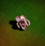 Broche Fleur de cerisier, pièce unique