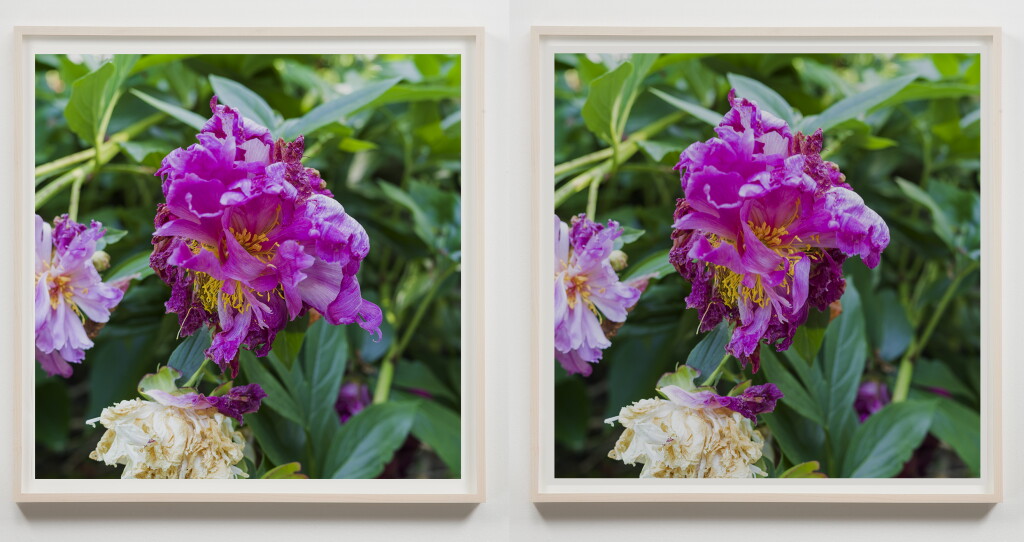 View full screen - View 1 of Lot 4. Two Petals Fall (After Masaoka Shiki) .