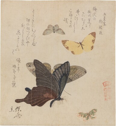 View full screen - View 1 of Lot 621. Kubo Shunman (1757-1820) | Butterflies and Moths | Edo period, 19th century.