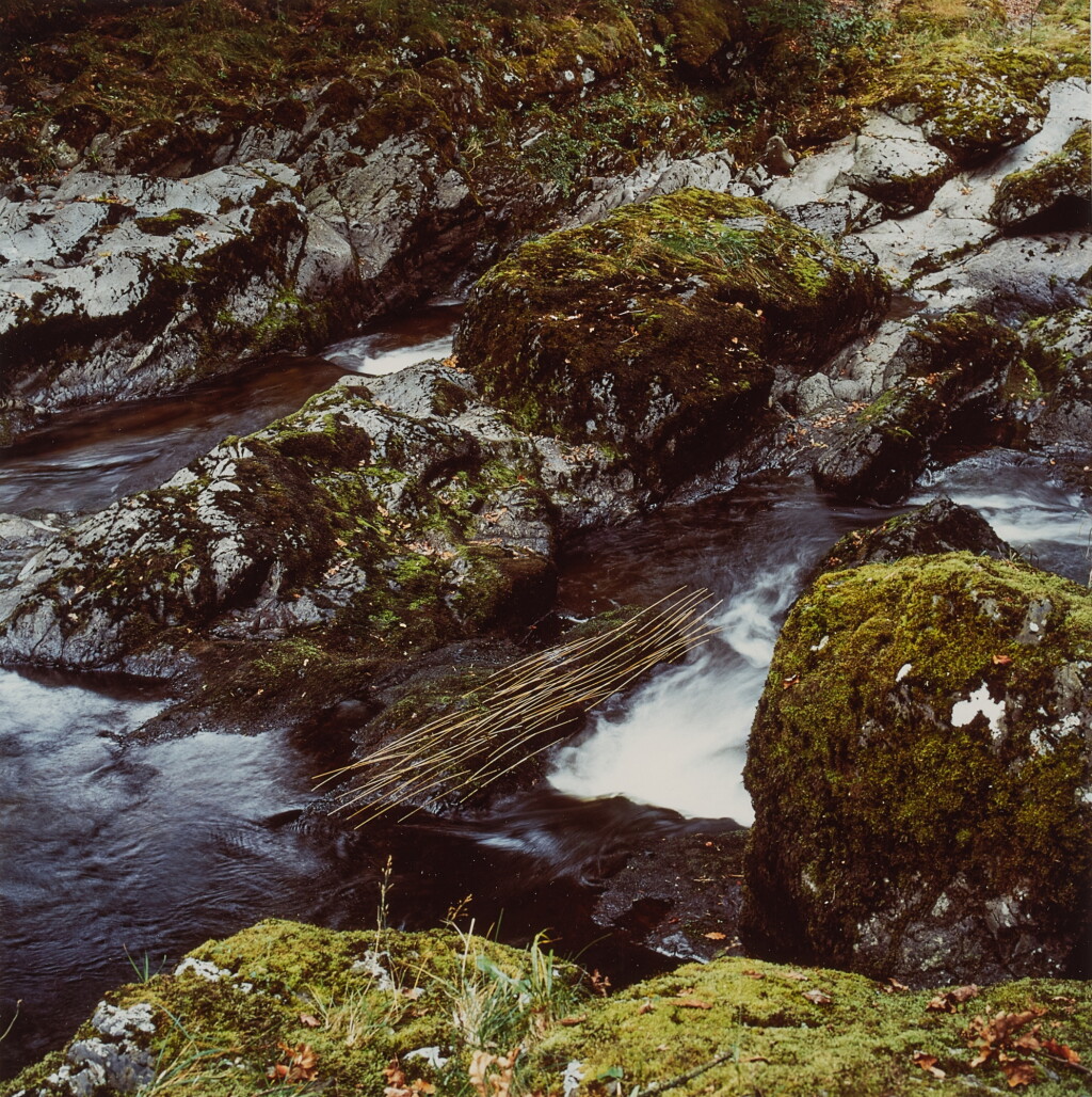 View full screen - View 1 of Lot 62. Grass Stalks / Laid Alongside the River / Glen Marlin Falls.