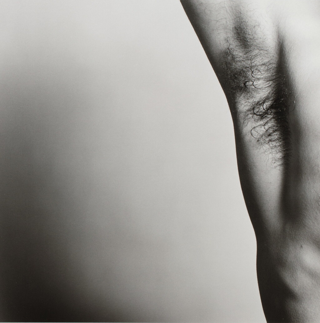 View full screen - View 1 of Lot 80. ROBERT MAPPLETHORPE | ARMPIT, 1981.