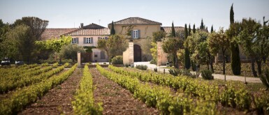 View full screen - View 1 of Lot 202. Châteauneuf-du-Pape, Hommage à Jacques Perrin 2016 Château de Beaucastel (3 BT).