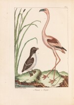 L'Histoire naturelle... Paris, 1767. In-4. Mar. rouge attr. à Derome. Ex. avec les pl. coloriées.