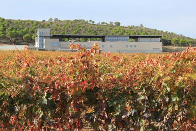 View full screen - View 1 of Lot 467. Pagos Seleccionados 2016 Bodegas Aalto (6 BT).