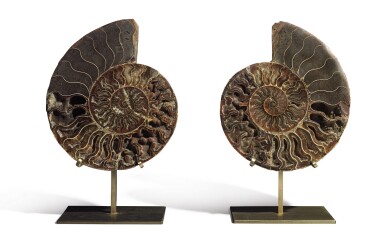 View full screen - View 1 of Lot 83. A SPLIT AMMONITE.
