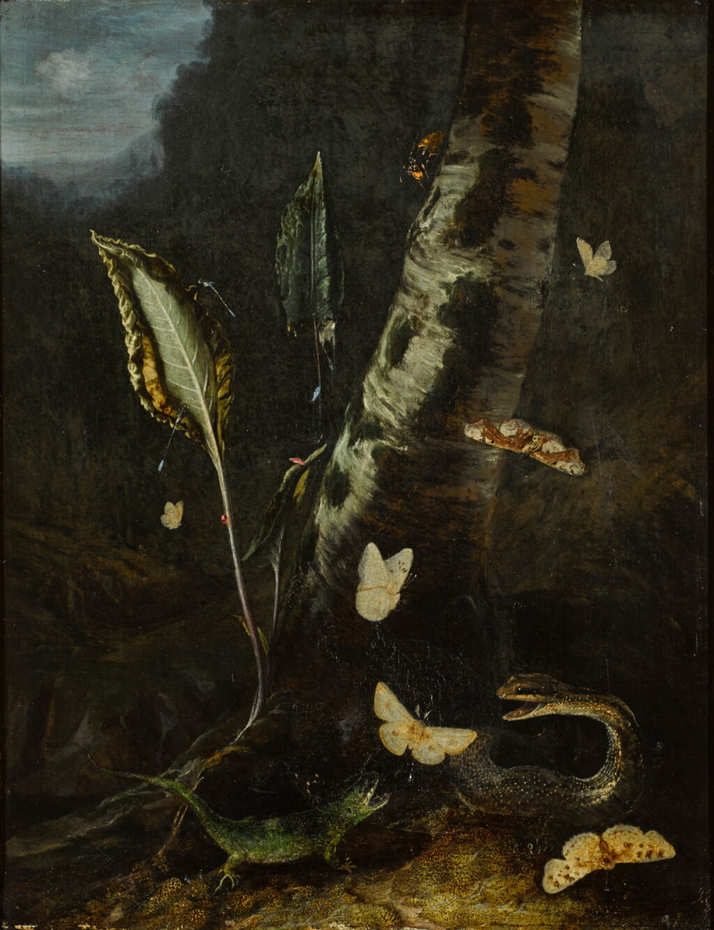 View full screen - View 1 of Lot 44. OTTO MARSEUS VAN SCHRIECK | FOREST FLOOR STILL LIFE, WITH A LIZARD, A SNAKE AND BUTTERFLIES.