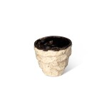 Pot with Textured Cream Glaze