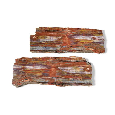 View full screen - View 1 of Lot 121. Pair of Large Petrified Wood Slices.