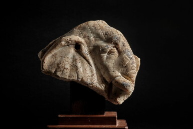 View full screen - View 1 of Lot 9807. A superb marble stone fragment of an elephant head, Tang dynasty | 唐 大理石雕象首殘件.