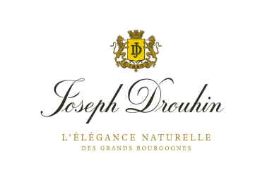 View full screen - View 1 of Lot 118. Beaune, Clos des Mouches Rouge 2019 Joseph Drouhin (6 MAG).
