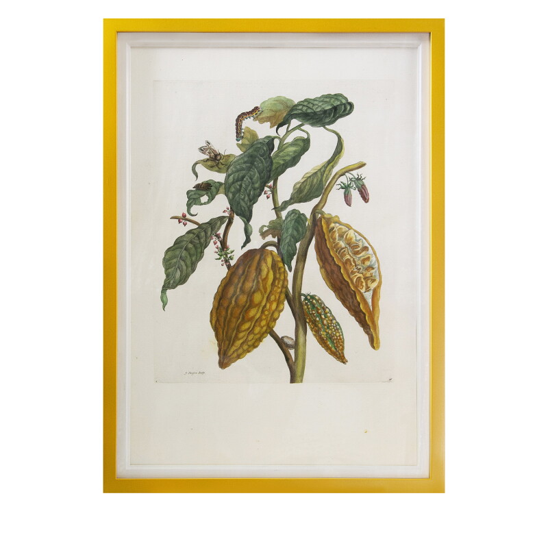 Cover image 0