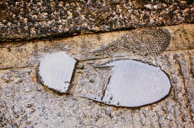 View full screen - View 1 of Lot 440. Weather, Weather.