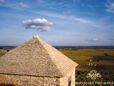 View full screen - View 1 of Lot 266. Chambertin, Clos de Bèze 2017 Bouchard Père et Fils (1 JM30).