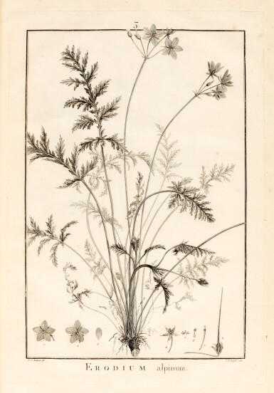View full screen - View 1 of Lot 22. L'HERITIER | Geraniologia, 1787.