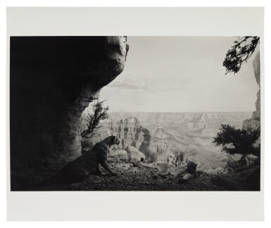 View full screen - View 1 of Lot 140. HIROSHI SUGIMOTO | MOUNTAIN LION (#109).
