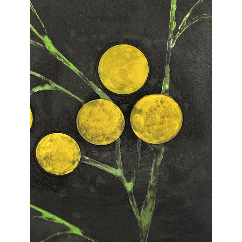 Cover image 0