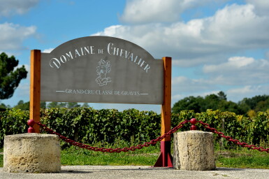 View full screen - View 1 of Lot 484. Domaine de Chevalier Rouge 2009 (3 MAG).