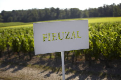 View full screen - View 1 of Lot 427. Château de Fieuzal, Blanc 1995 (24 BT).