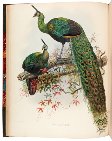View full screen - View 1 of Lot 31. ELLIOT, D.G. | A Monograph of the Phasianidae, New York 1870-1872, 2 volumes.