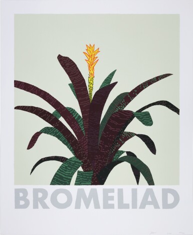 View full screen - View 1 of Lot 97. Bromeliad.