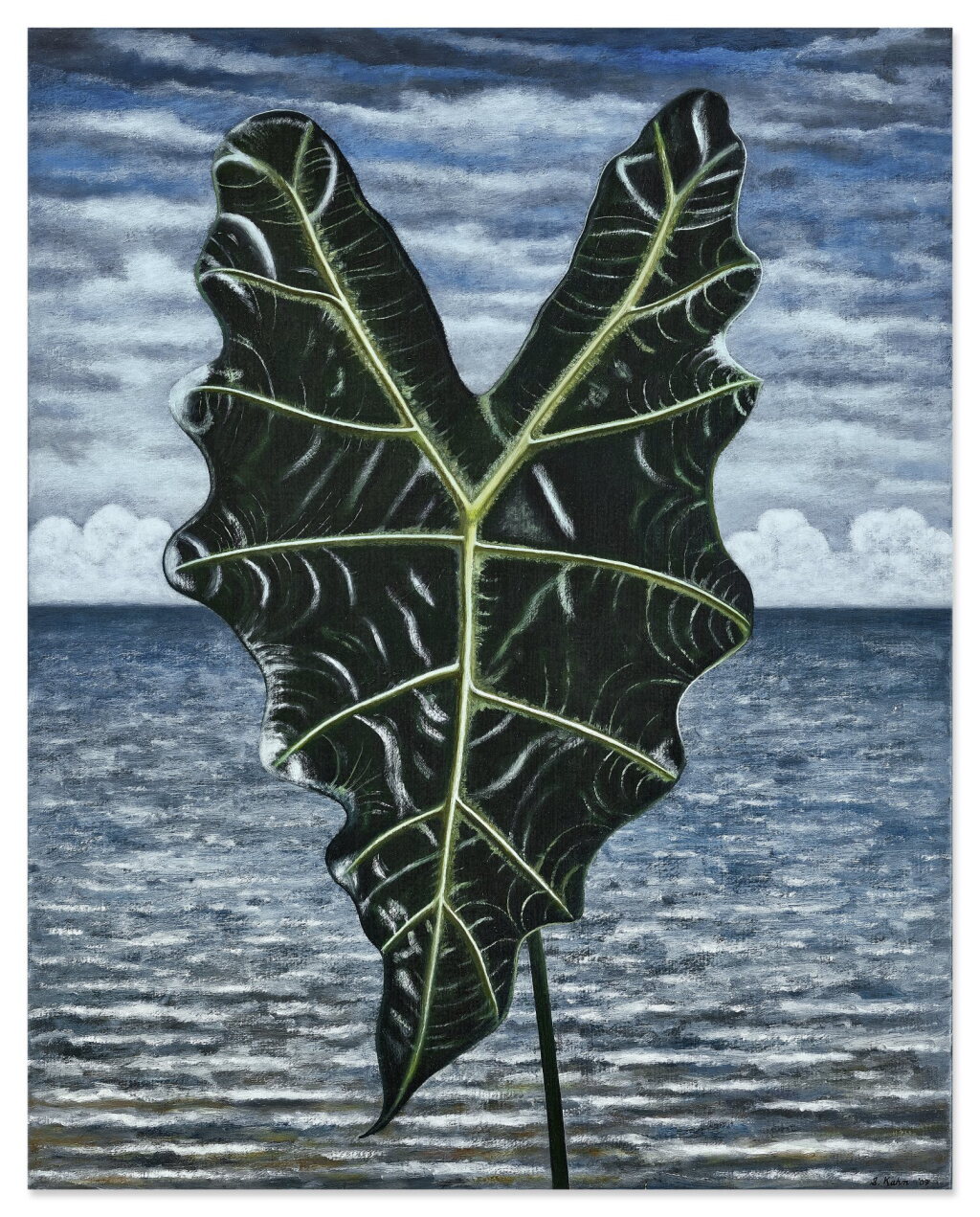 View full screen - View 1 of Lot 531. Scott Kahn 斯科特 · 卡恩 | Alocasia Leaf 海芋屬葉.