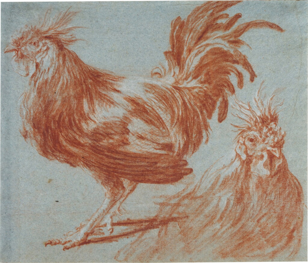 View full screen - View 1 of Lot 139. Study of Cockerels.