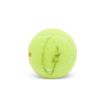 Carlos Alcaraz Signed 2022 US Open Tennis Ball