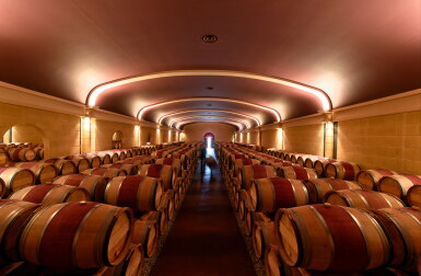 View full screen - View 1 of Lot 483. Domaine de Chevalier Rouge 2008 (1 JM50).