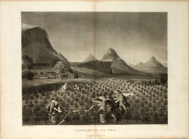 View full screen - View 1 of Lot 486. Robert John Thornton | Botanical extracts: or philosophy of botany, 1810, 3 vols, contemporary maroon morocco gilt.