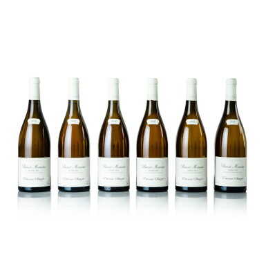 View full screen - View 1 of Lot 271. Bâtard Montrachet 2010 Etienne Sauzet (6 BT).