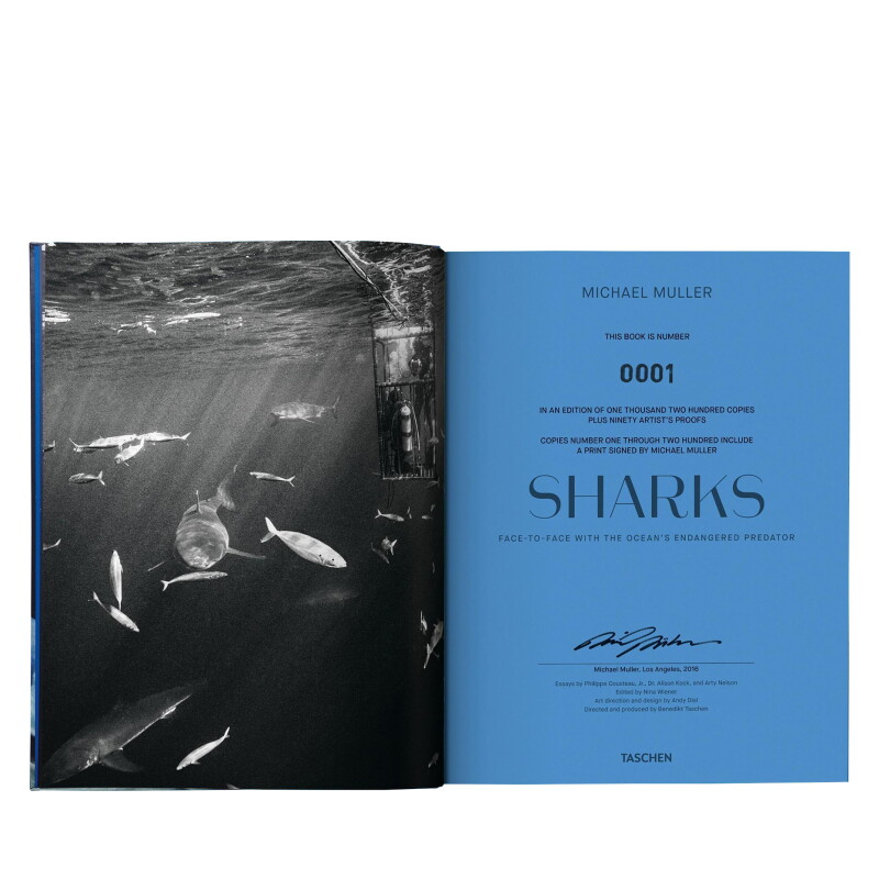Cover image 0