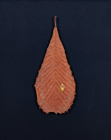 View full screen - View 1 of Lot 107. Untitled (Waterdrop).