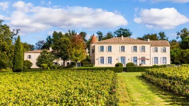 View full screen - View 1 of Lot 604. Château Troplong Mondot 2019 (6 MAG).