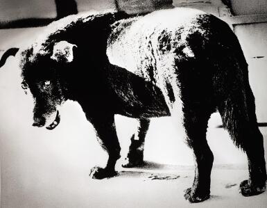 View full screen - View 1 of Lot 74. DAIDO MORIYAMA | 'STRAY DOG, MISAWA', 1971.